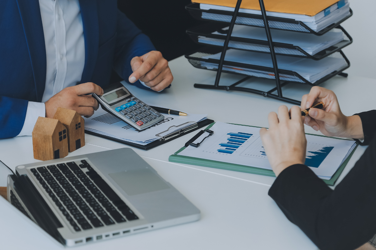 Revenue Audit for Nationalized Banks